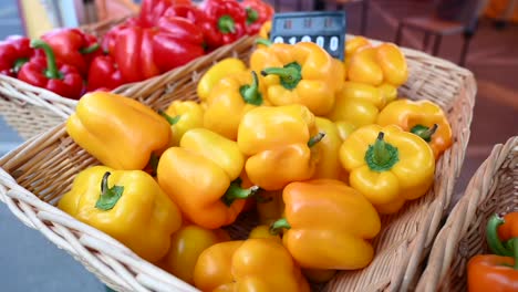 locally grown bell peppers are showcased and offered for sale during the agriculture festival in the uae