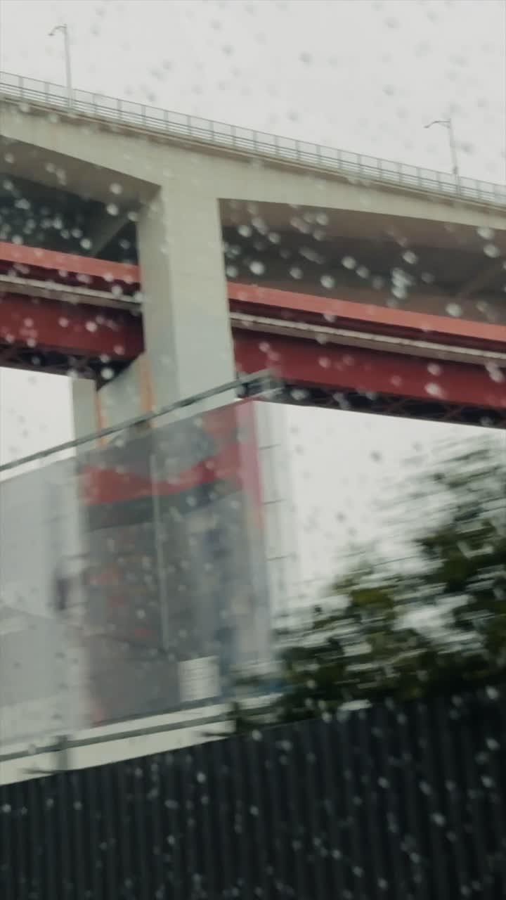 Rainy urban scenes with trees and buildings
