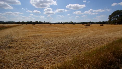 Weitwinkelaufnahme-Eines-Heufeldes-Mit-Traktor,-Der-Heuballen-Bewegt