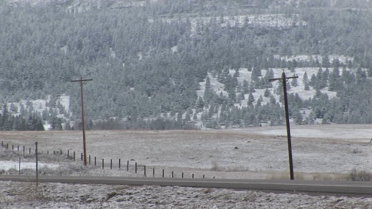 가축을 실은 트럭이 미국 시골의 길을 굴러간다
