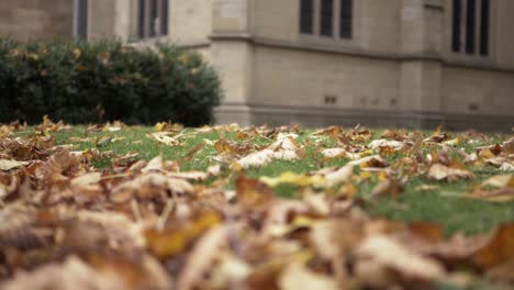 autumn leaves in churchyard low panning shot