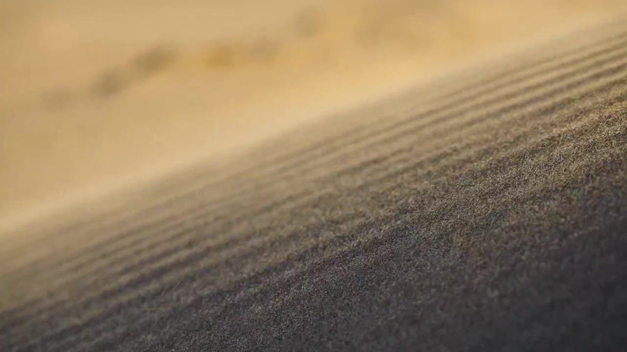 Sand dune surface with fine wind shaped ripples in desert landscape.