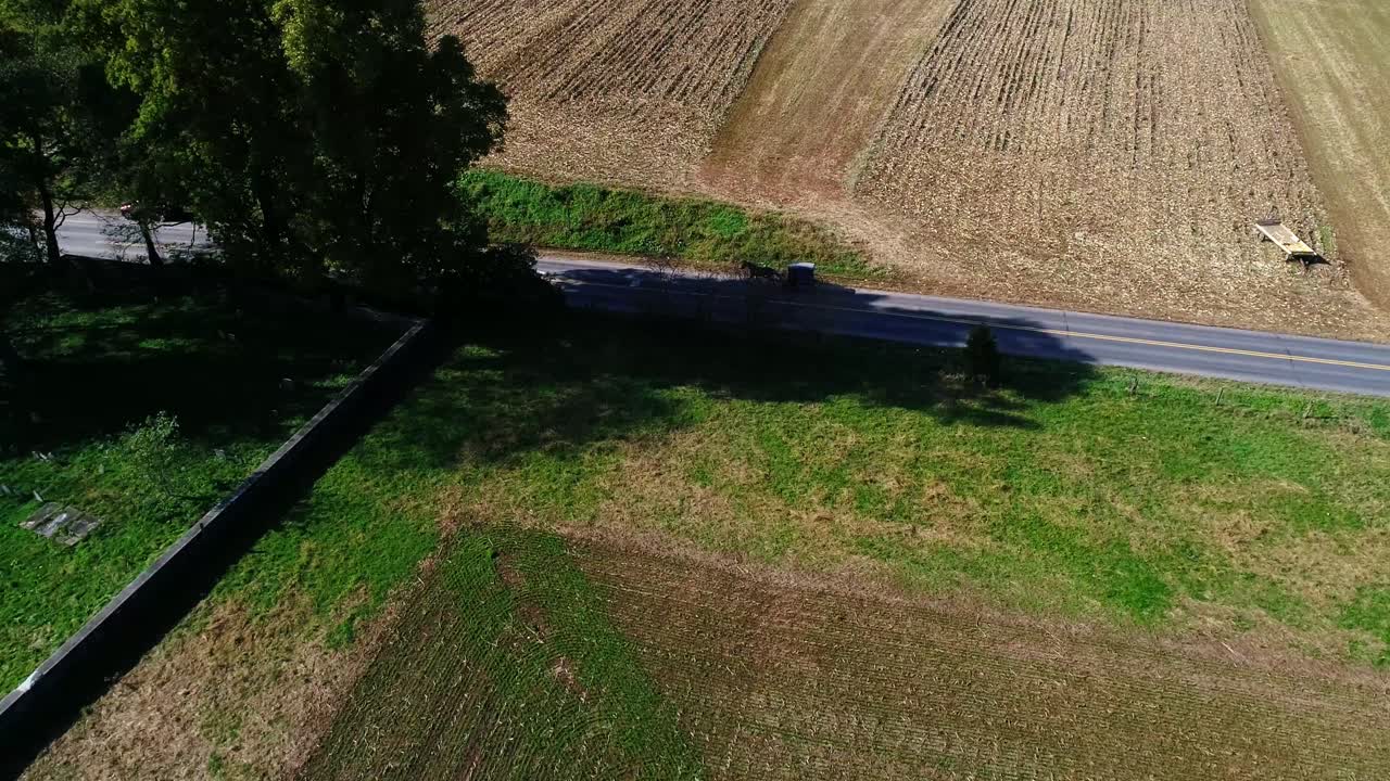 시골을 따라 달리는 아미쉬 버기