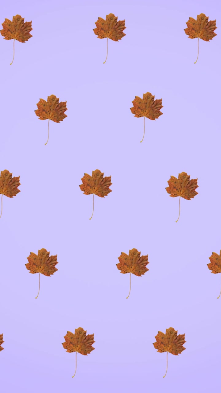 Animation of rows of autumn orange leaves on purple background