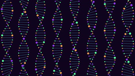 Vibrant-dna-zigzag-pattern-on-black-background