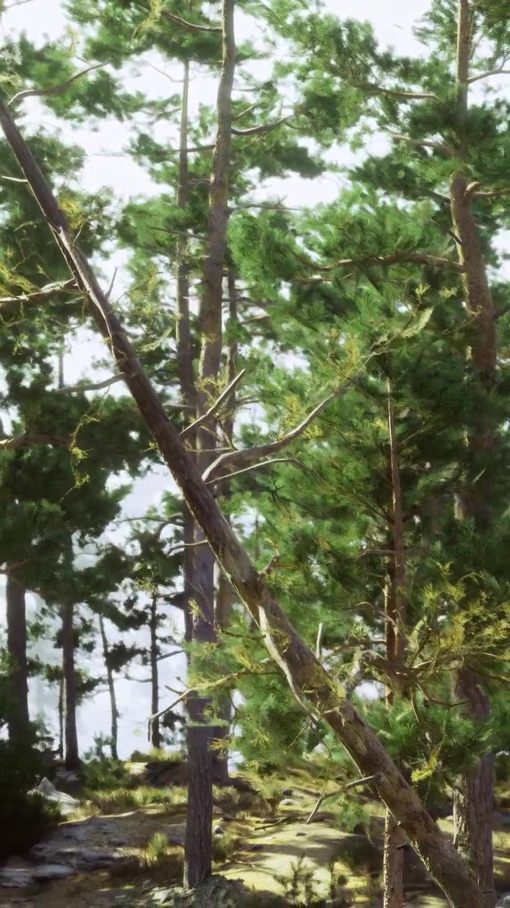 Alberi verdi si ergono insieme vicino a uno specchio d'acqua calmo nella foresta