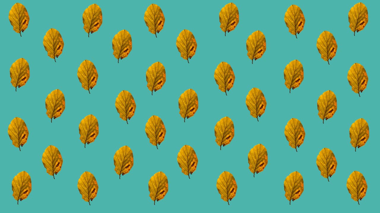 파란색 배경 위에 여러 개의 오렌지색 가을 잎의 애니메이션