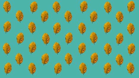 Animation-of-multiple-orange-autumn-leaves-over-blue-background