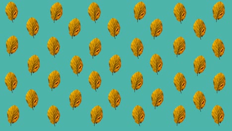 animatie van meerdere oranje herfstbladeren op blauwe achtergrond