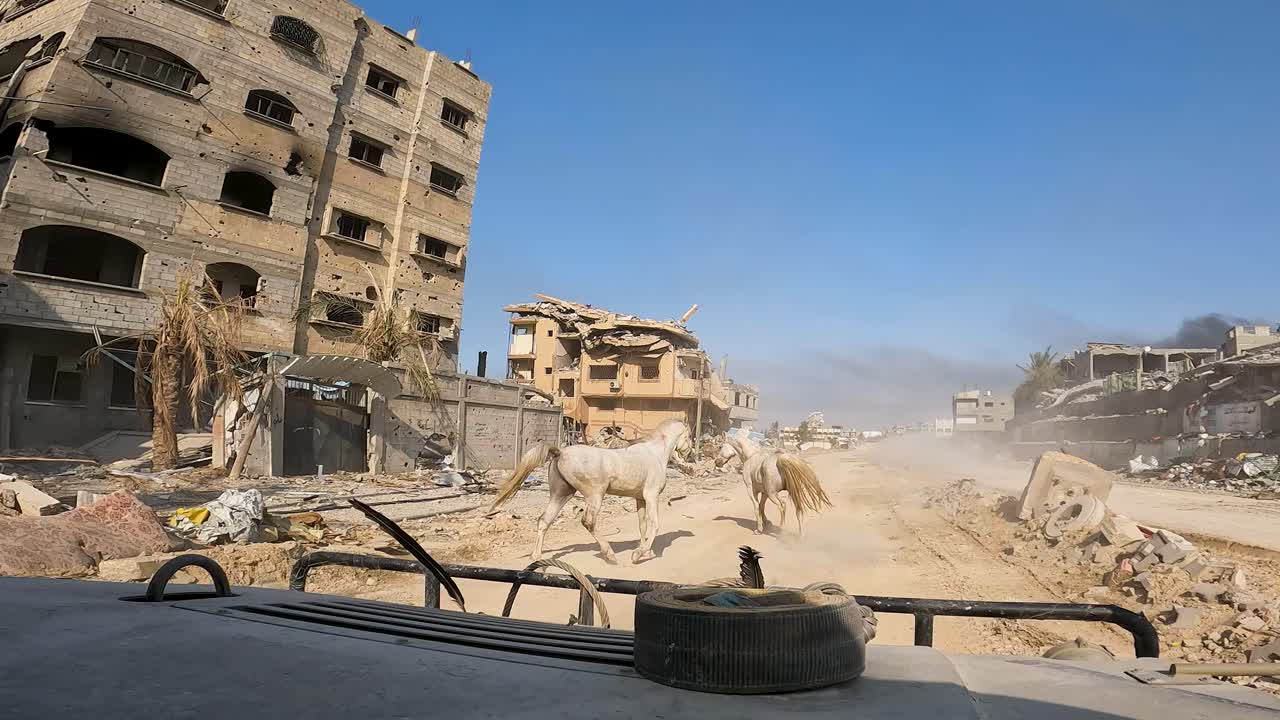 Cavalli spaventati da un Humvee dell'ADF tra le strade distrutte di Gaza