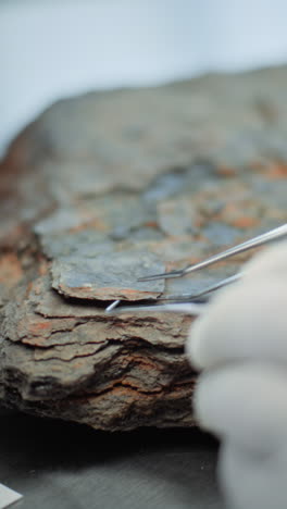 scientist examining a rock sample in a laboratory setting