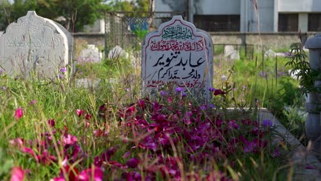 muslim man putting flowers on a grave