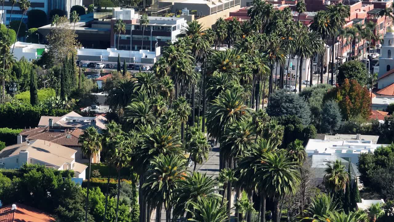 Aerial view circling traffic on a palm tree lined street in Beverly hills, LA