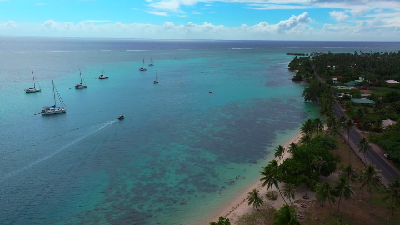 Vista aerea con drone di Moorea, Polinesia Francese, con barche a vela ancorate nella Baia di Opunohu, una barca in movimento attraverso la laguna e la spiaggia di Ta'ahiamanu che costeggia la riva turchese.