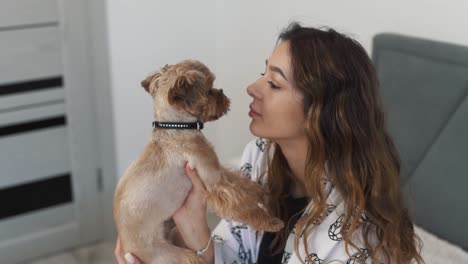 close-up-portrait,-a-beautiful-young-woman-holds-a-Yorkshire-Terrier-in-her-arms-and-kisses-it-lovingly