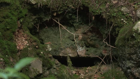 deformation or erosion in the rock, forming a hole and with moss around it, wetland