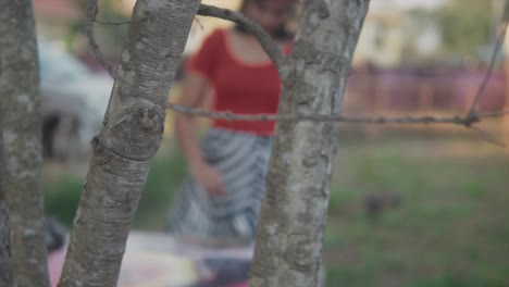 Slow-panning-shot-through-the-branches-of-a