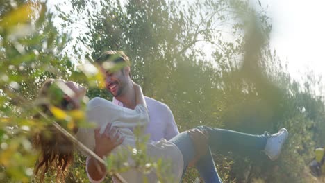 man carrying woman in olive farm 4k