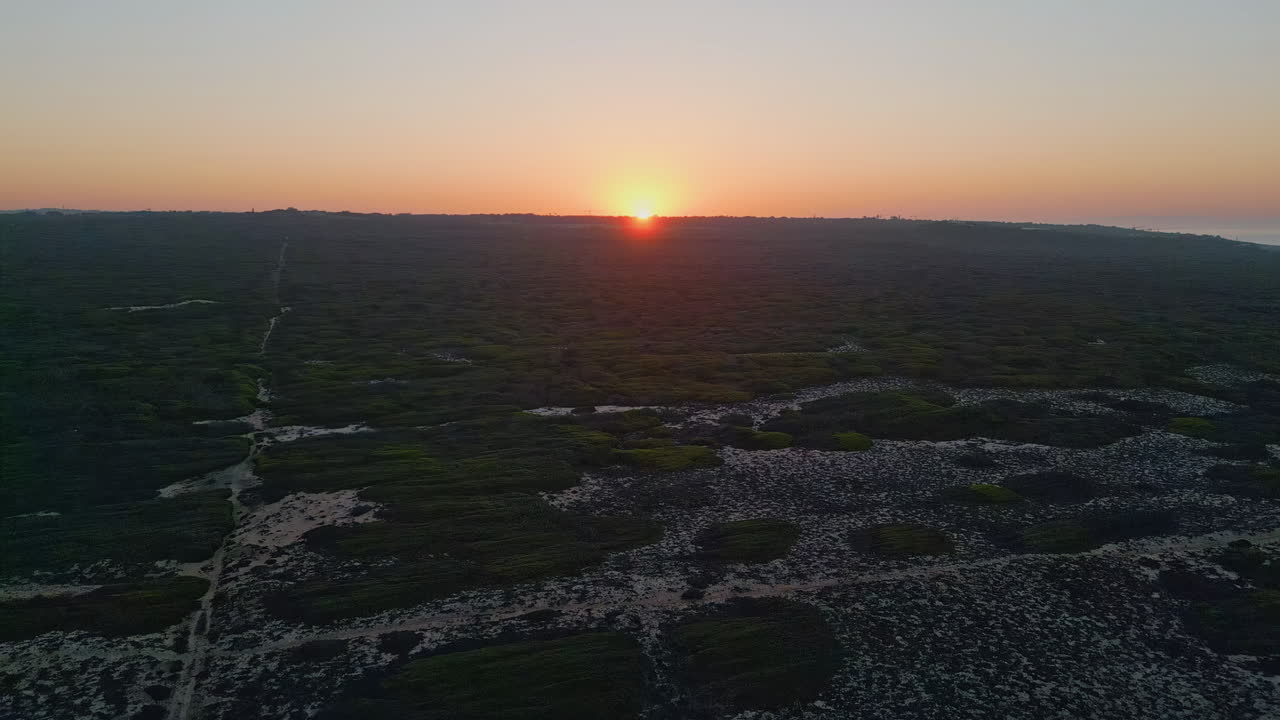 Breathtaking golden sunset green grass area aerial view. Picturesque sun setting