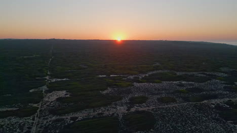 breathtaking golden sunset green grass area aerial view. picturesque sun setting