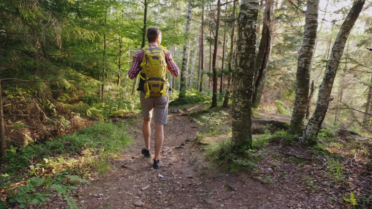 un joven con una mochila amarilla camina por un pintoresco sendero en el bosque forma de vida activa