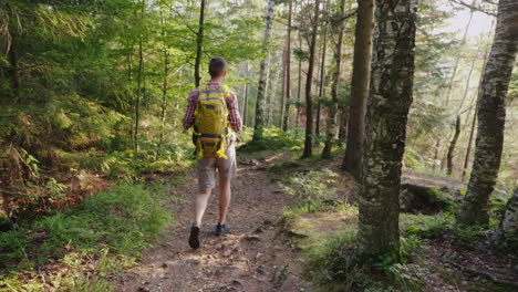 A-Young-Man-With-A-Yellow-Backpack-Walks-Along-A-Picturesque-Trail-In-The-Forest-Active-Way-Of-Life-