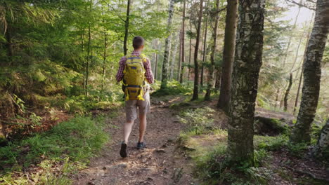 a young man with a yellow backpack walks along a picturesque trail in the forest active way of life