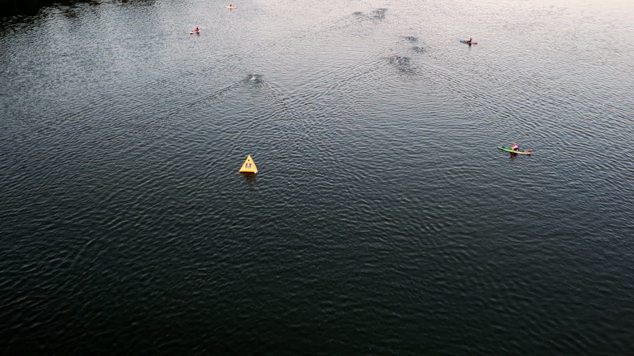 Small swim packs cut through the calm Tennessee River, guided by a paddleboarder under soft morning light in Chattanooga