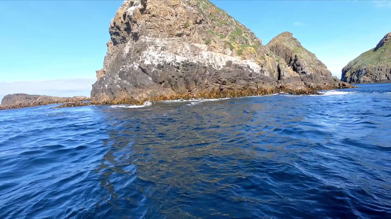 Tourist boat in a swell beside a rocky outcrop with kelp attached in the Southern Ocean near Bruny Island Tasmania