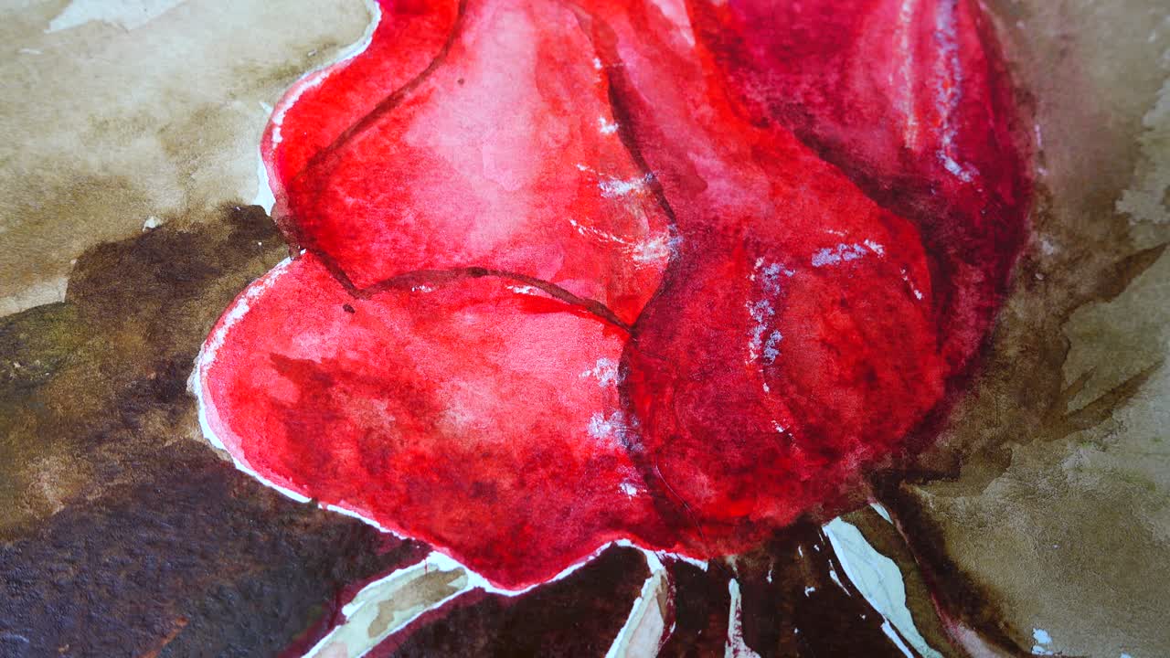Ripresa del disegno di una rosa