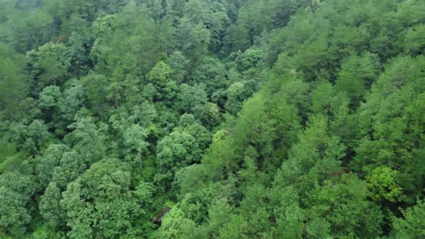 drone video of meghalaya's natural beauty.