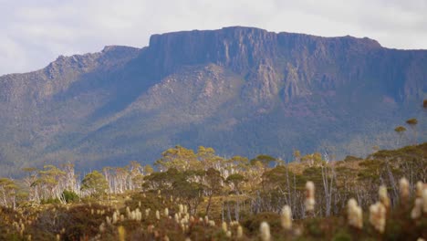 pelion gap, overland track tasmania