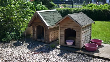 two wooden dog houses in a backyard