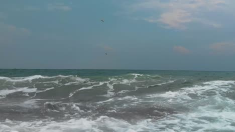 Seagulls-flying-above-the-sea-water-in-cloudy-day,-panning-shot-trackig-the-birds-,-camera-close-to-the-water-and-the-waves,-Sozopol,-Bulgaria