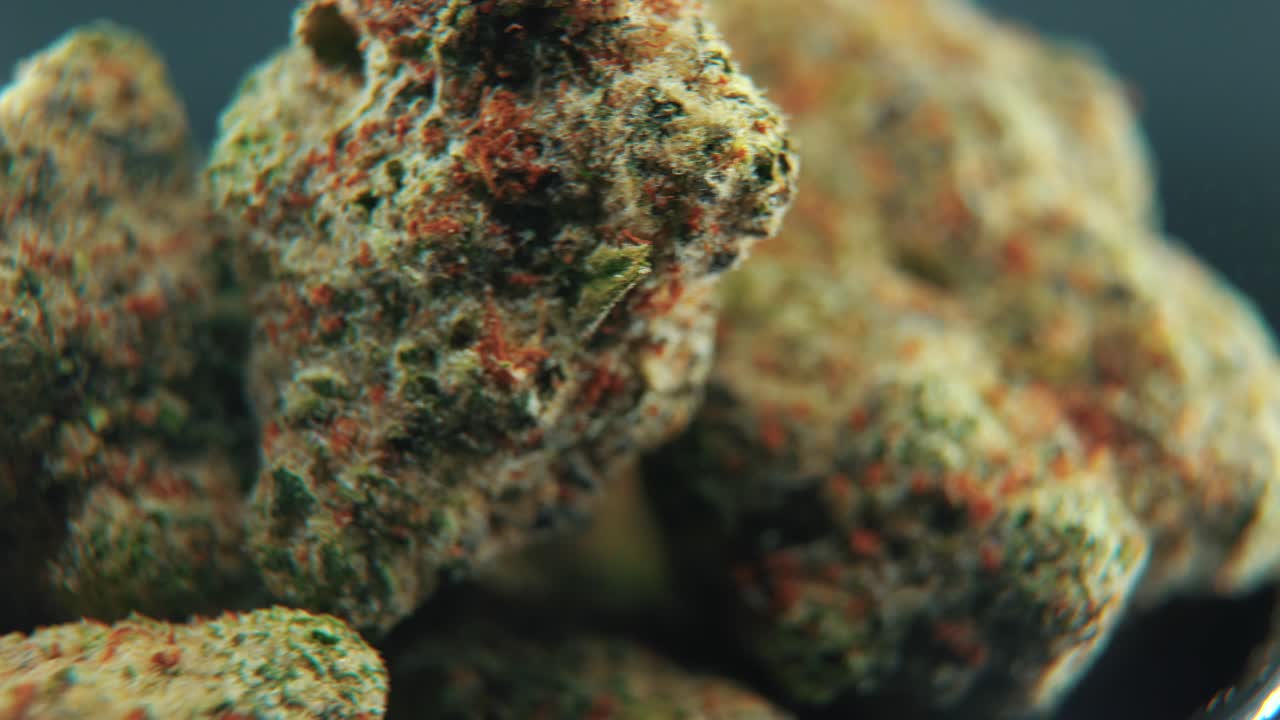 una hermosa toma macro cinematográfica detallada de una planta de cannabis, variedades híbridas, indica y sativa, flor de marihuana, en un soporte giratorio de 360 grados, grito brillante negro, cámara lenta, video 4k, iluminación de estudio