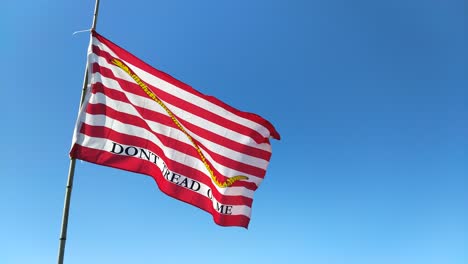 don't tread on me flag