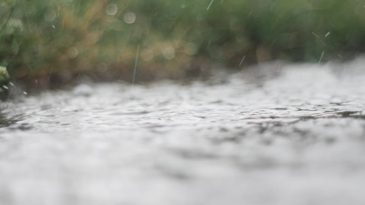 raindrops fall on the ground and turn into a small stream