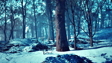 snowy forest scene