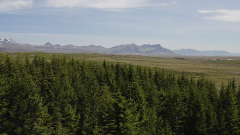 Revelación-Aérea-Sobre-El-Pequeño-Bosque-De-Hofsstadaskogur