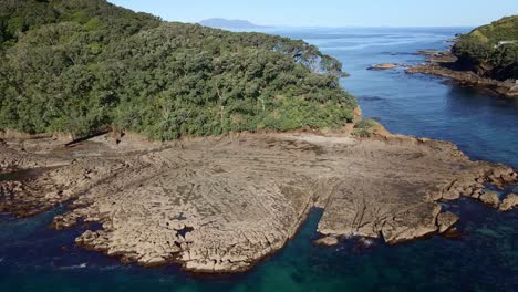 Aerial-Pull-Backward-Revealing-Goat-Island-Picturesque-Scenery-Of-Wrinkleless-Ocean-And-Flat-Eroded-And-Chiseled-Rock-Formation,-New-Zealand