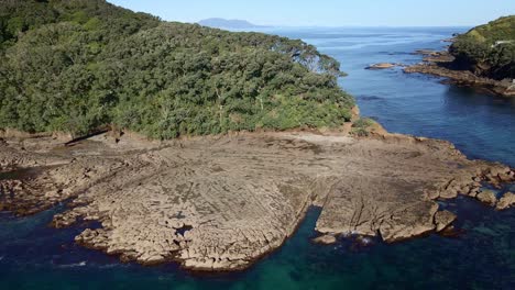 aerial pull backward revealing goat island picturesque scenery of wrinkleless ocean and flat eroded and chiseled rock formation, new zealand