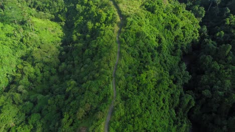 Aerial-4K-Drone-Footage:-Breathtaking-View-of-Lush-Rainforest,-Villas,-Tropical-Beauty-near-Campuhan-Ridge,-Ubud,-Bali