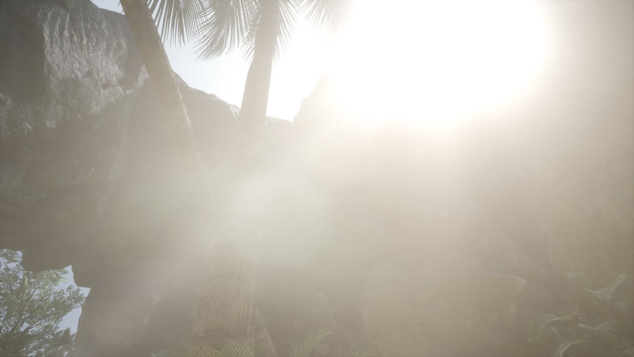 большие пальмы в каменной пещере с лучами солнечного света