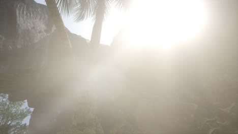 grandes palmeras en la cueva de piedra con rayos de luz solar