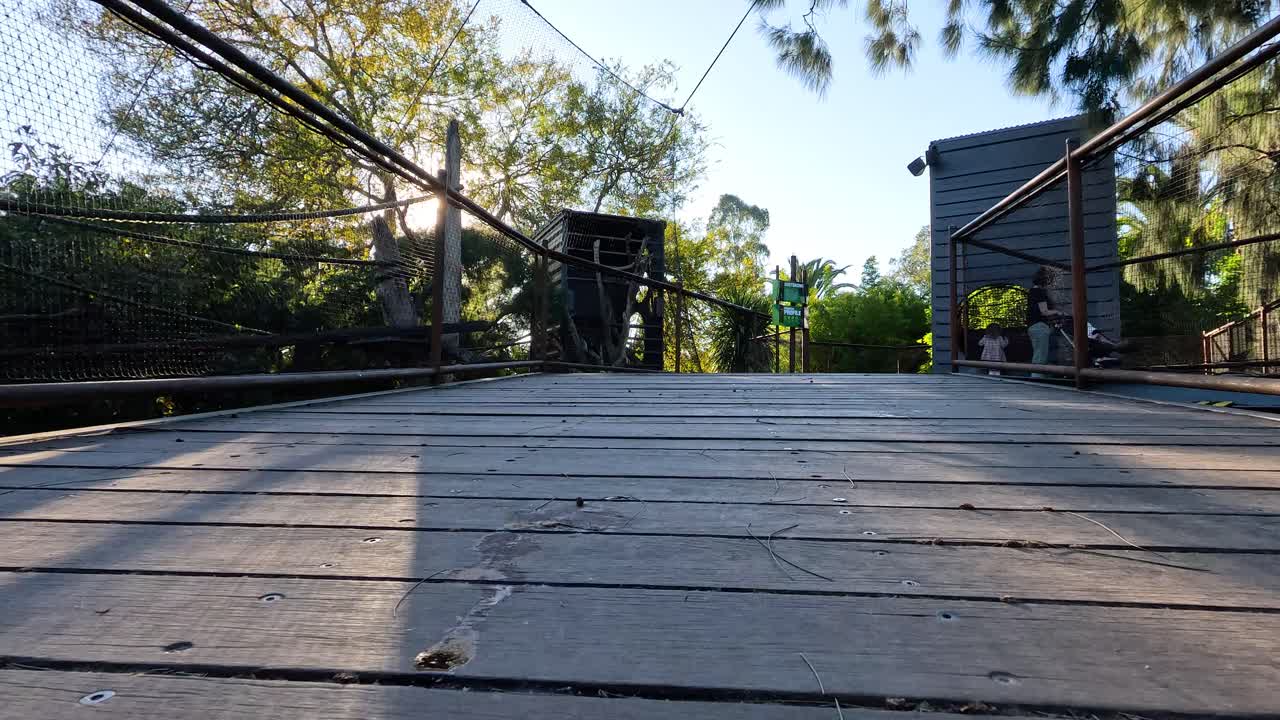 amanecer caminar sobre un puente de madera