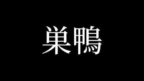 sugamo japan kanji japanese text animation motion graphics