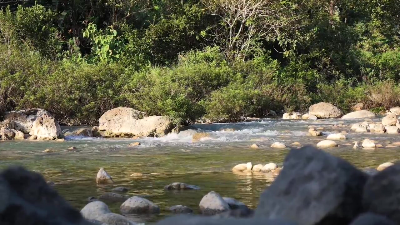 Ripresa cinematografica del gorgoglio dell'acqua pulita di un fiume in campagna nel pomeriggio.