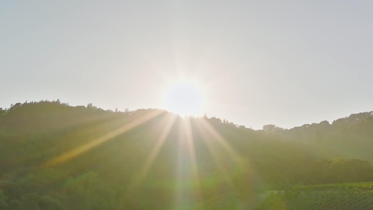 Sonnenaufgang über Napa Valley-Weinbergen in Kalifornien, USA