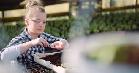 botanist putting plant sample on petri dish at greenhouse