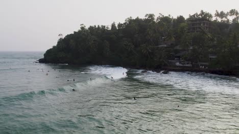 surfers in tropical paradise: aerial view of ocean waves and palm trees